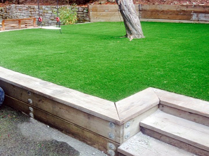 Synthetic Grass Cost Hercules, California Lawns, Backyard Garden Ideas