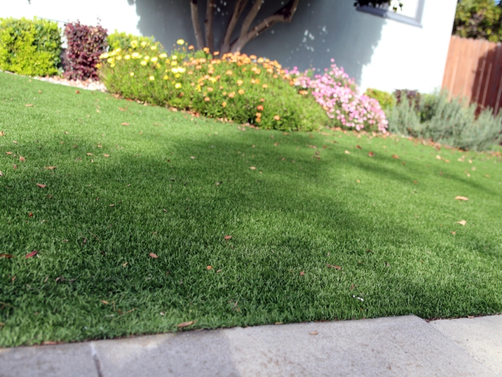 Synthetic Grass Cost Modesto, California Lawn And Landscape, Front Yard Landscaping Ideas