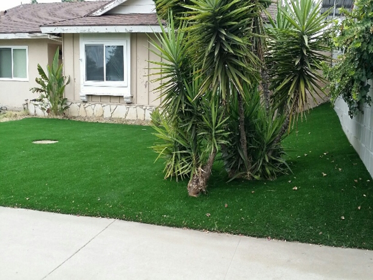 Synthetic Grass Cost Novato, California Landscape Design, Small Front Yard Landscaping