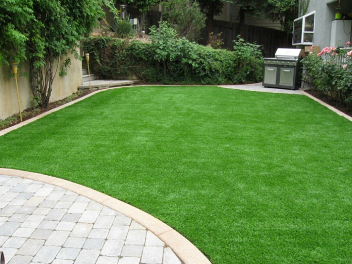 Synthetic Grass Cost Pajaro, California Backyard Deck Ideas