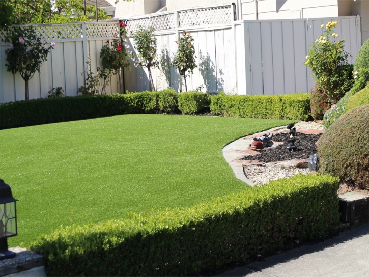 Synthetic Grass Cost Pittsburg, California Design Ideas, Backyard Design