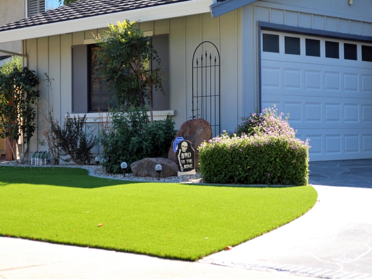 Synthetic Grass Ladera, California Landscape Design, Front Yard Ideas