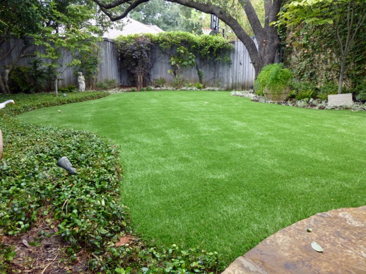 Synthetic Grass Live Oak, California Garden Ideas, Small Backyard Ideas