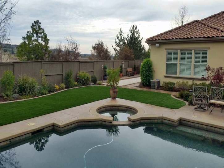 Synthetic Grass Lucas Valley-Marinwood, California Garden Ideas, Backyard Makeover