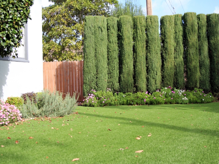 Synthetic Grass Orinda, California Rooftop, Front Yard Landscape Ideas