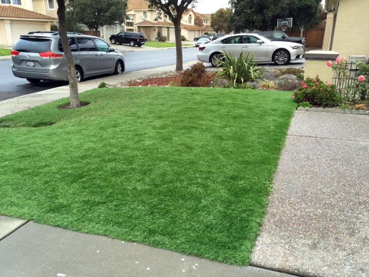 Synthetic Grass Richmond, California Gardeners, Front Yard Landscaping