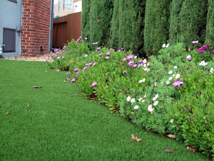 Synthetic Grass Sleepy Hollow, California Lawns, Front Yard Ideas