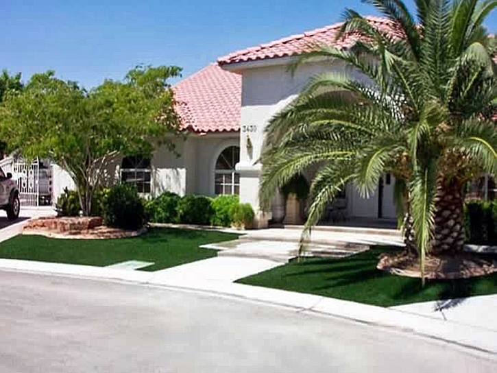 Synthetic Grass Stinson Beach, California City Landscape, Front Yard Landscaping Ideas