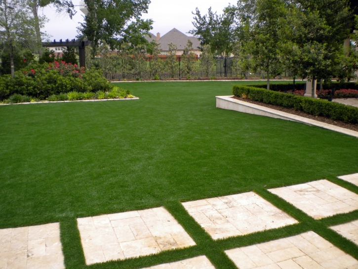 Synthetic Lawn Bayview, California Landscape Design, Backyard Landscape Ideas