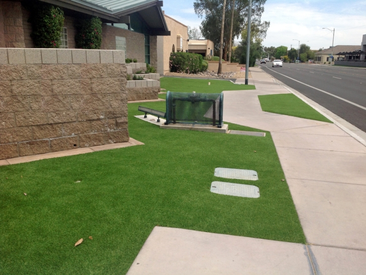 Synthetic Lawn Brentwood, California Landscape Design, Front Yard Ideas