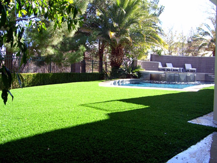 Synthetic Lawn Madison, California Landscape Photos, Kids Swimming Pools