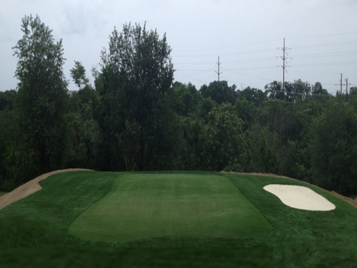 Synthetic Lawn Paradise Park, California Putting Green Carpet, Backyard Landscaping Ideas