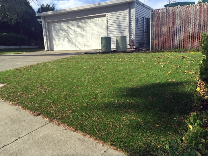 Synthetic Lawn Stanford, California Home And Garden, Front Yard Landscaping Ideas