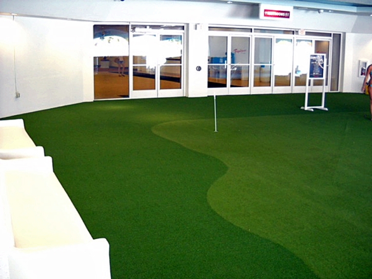 Synthetic Turf Amesti, California Landscaping, Commercial Landscape