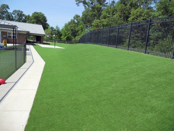 Synthetic Turf Boulder Creek, California City Landscape, Commercial Landscape