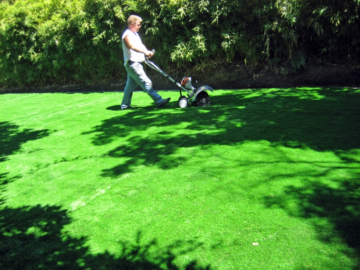 Synthetic Turf Boulder Creek, California Landscape Photos, Backyard Makeover