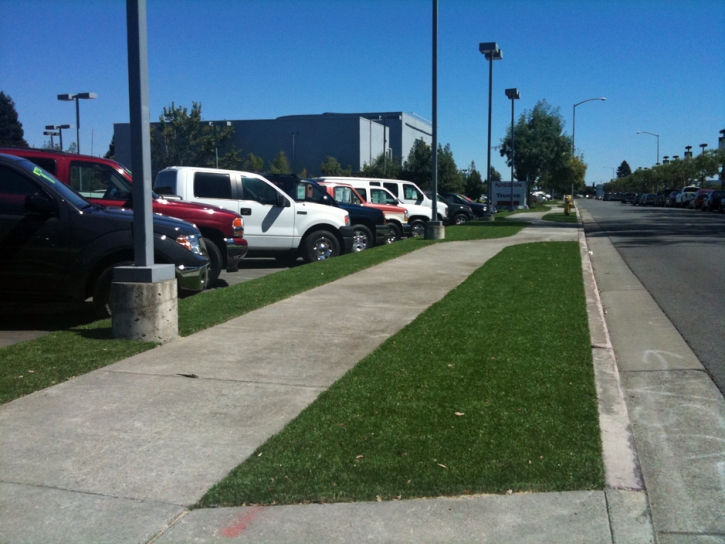 Synthetic Turf Castro Valley, California Roof Top, Commercial Landscape