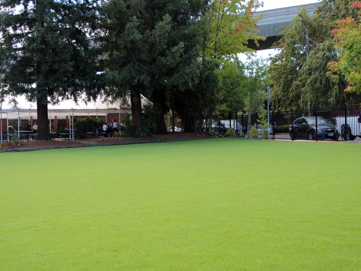 Synthetic Turf Concord, California Landscape Ideas, Commercial Landscape