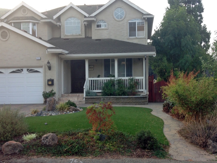 Synthetic Turf El Granada, California Garden Ideas, Front Yard Design