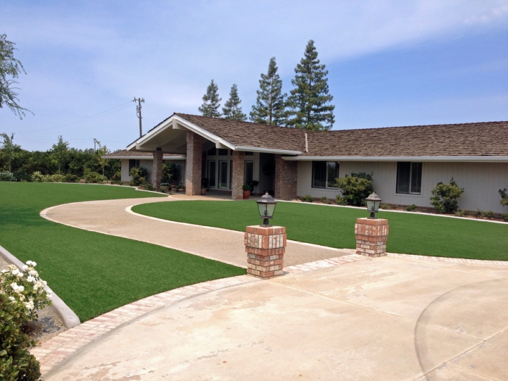 Synthetic Turf El Verano, California Roof Top, Front Yard