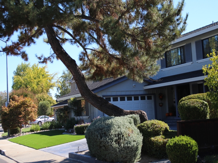 Synthetic Turf Lagunitas-Forest Knolls, California Backyard Deck Ideas, Landscaping Ideas For Front Yard