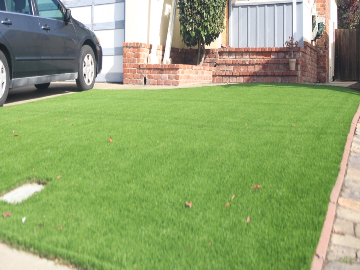 Synthetic Turf Millbrae, California Landscape Ideas, Landscaping Ideas For Front Yard