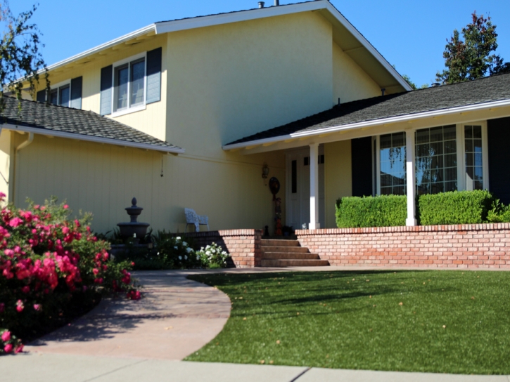 Synthetic Turf Newark, California Design Ideas, Front Yard Ideas