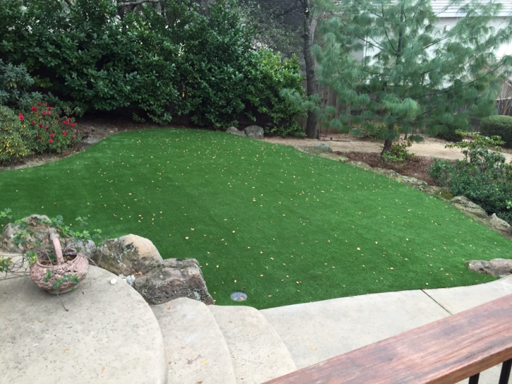 Synthetic Turf Suisun, California Landscape Rock, Backyard Designs