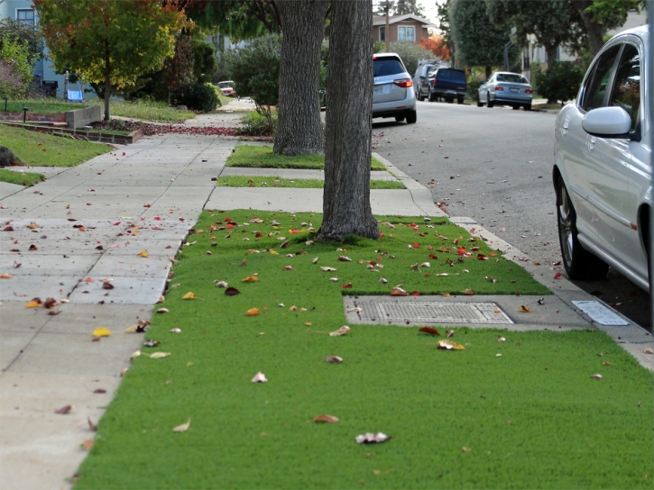 Synthetic Turf Supplier Belvedere, California Landscaping Business, Front Yard Ideas