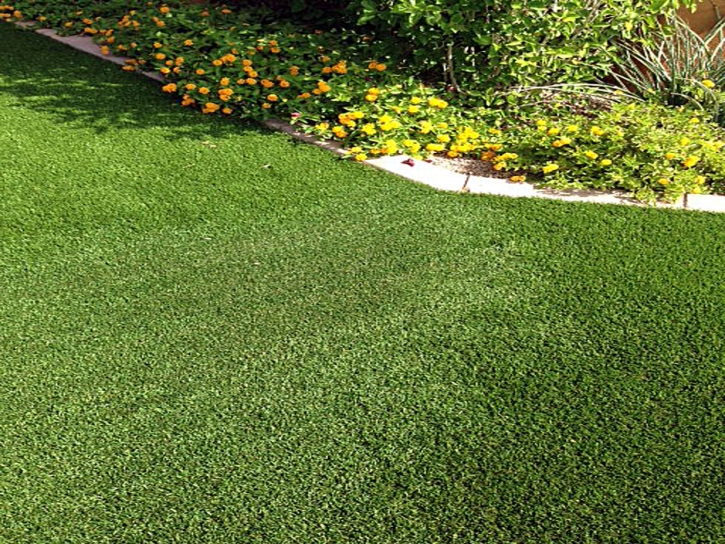 Synthetic Turf Supplier Courtland, California Lawn And Garden, Landscaping Ideas For Front Yard