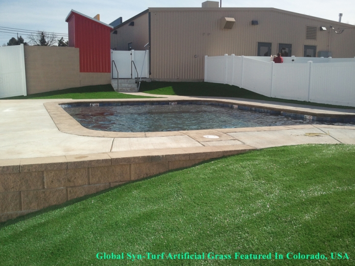 Synthetic Turf Supplier Muir Beach, California Landscape Rock, Swimming Pools