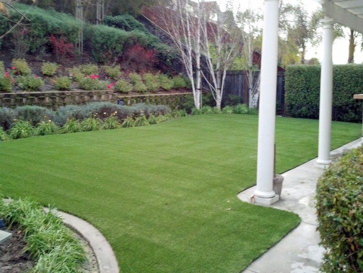 Synthetic Turf Supplier Parkway, California Roof Top, Backyard Makeover