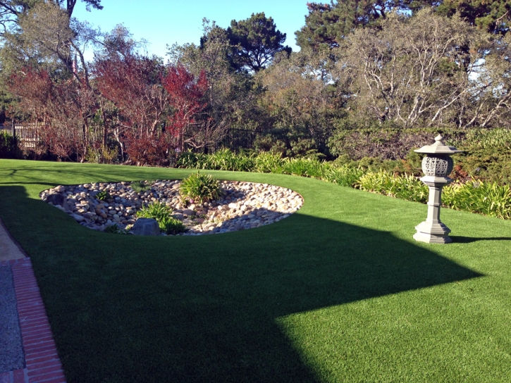 Synthetic Turf Supplier Ross, California City Landscape, Backyards