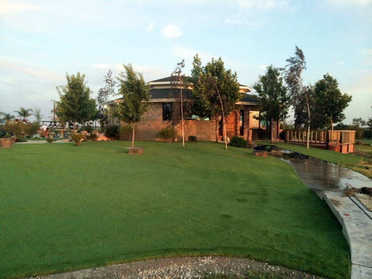 Synthetic Turf Supplier Waldon, California Backyard Playground, Commercial Landscape