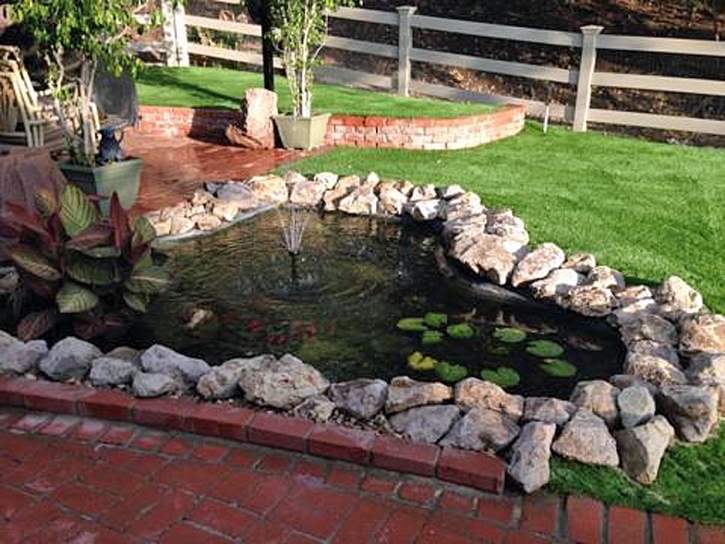 Synthetic Turf Supplier West Modesto, California Landscaping, Backyard Ideas