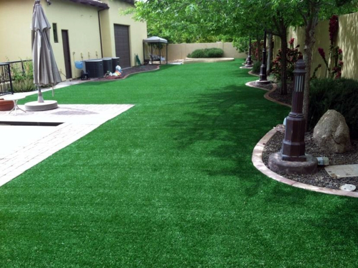 Synthetic Turf Westley, California Landscaping Business, Backyard Garden Ideas