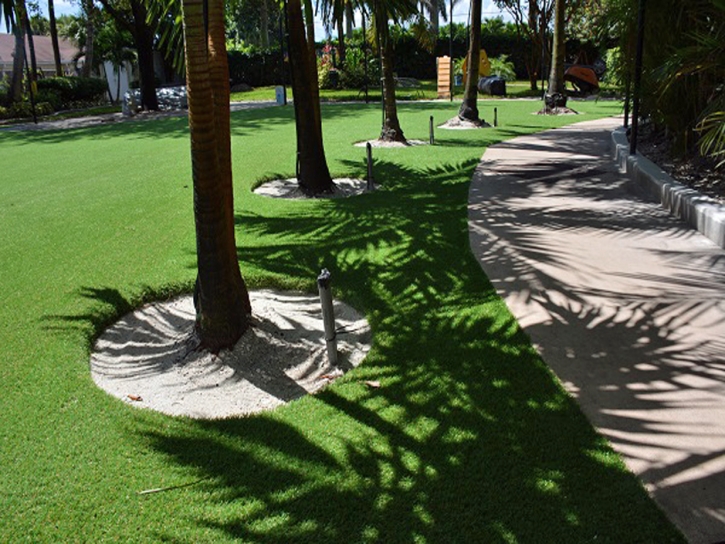 Turf Grass Fairfield, California Cat Playground, Commercial Landscape