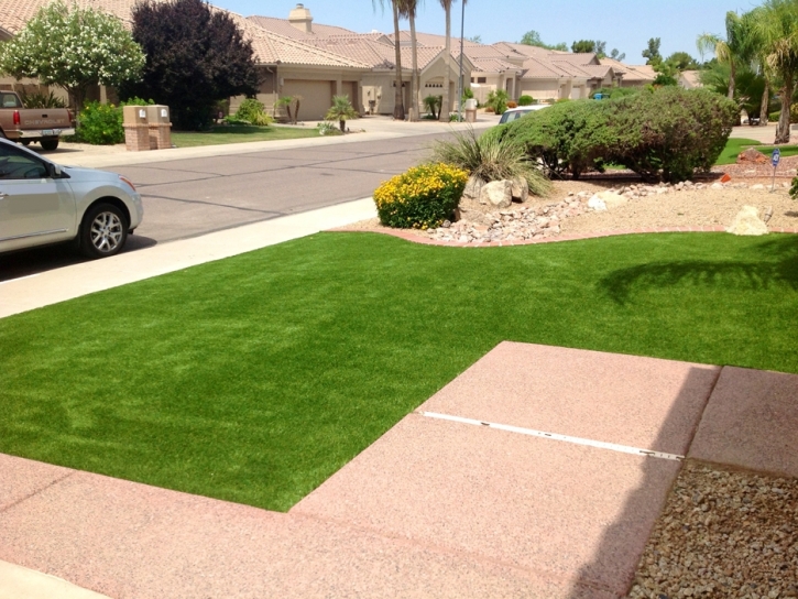 Turf Grass Milpitas, California Lawn And Landscape, Front Yard Design