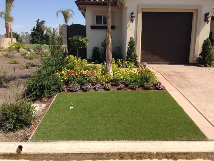 Turf Grass Peters, California Gardeners, Front Yard Design