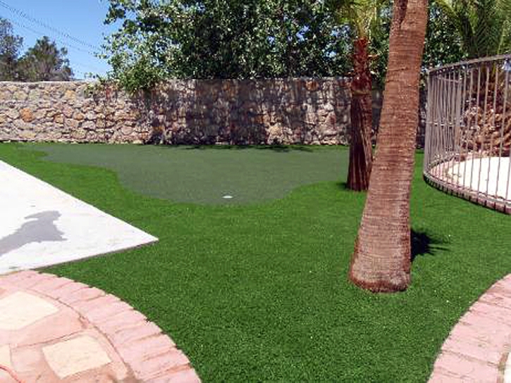 Turf Grass Sleepy Hollow, California Diy Putting Green, Backyard Designs